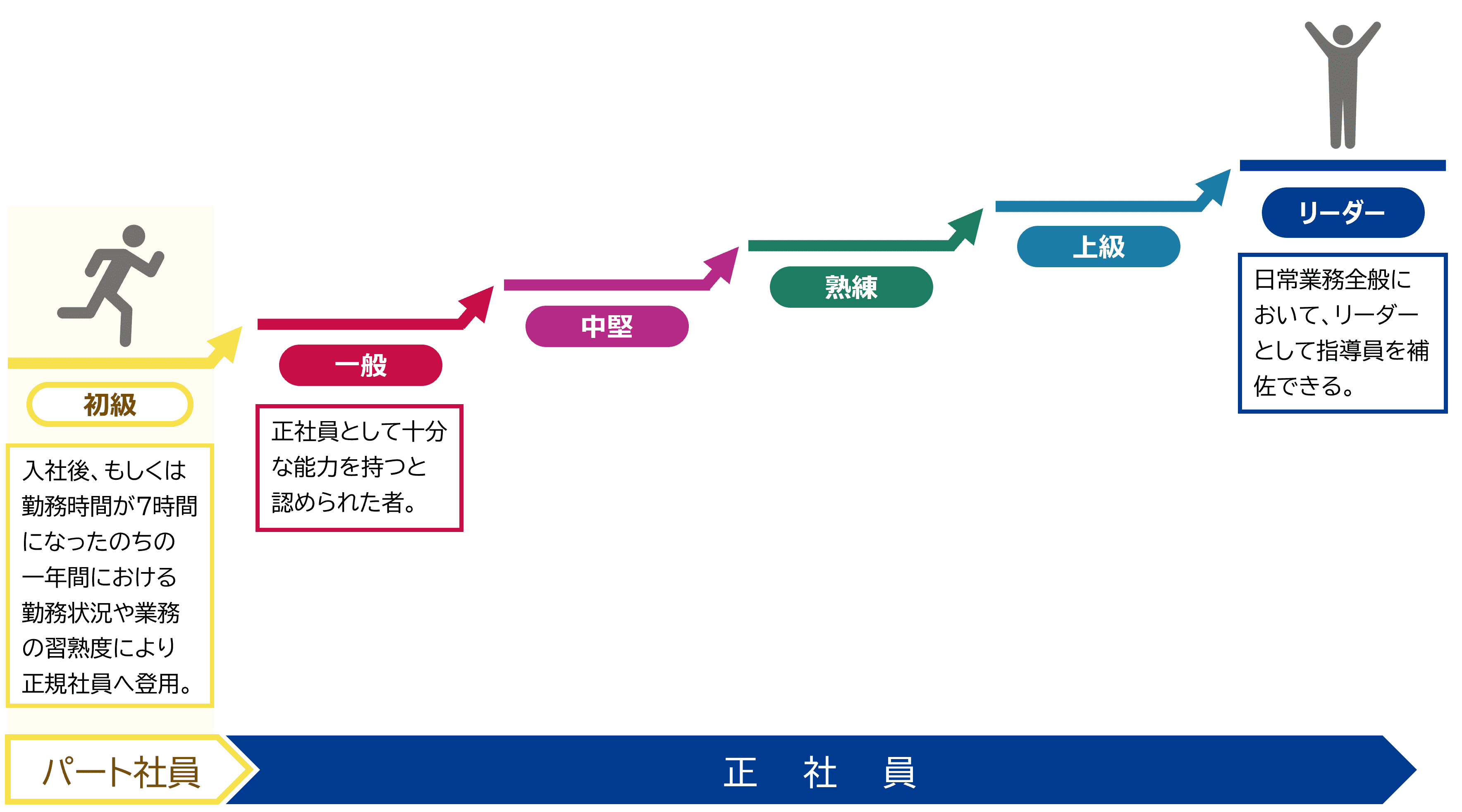 パート社員は入社後、もしくは勤務時間が7時間になったのちの一年間における勤務状況や業務の習熟度により正社員へ登用します。正社員として十分な能力を持つと認められた者は、一般から中堅、熟練、上級、と進み、最終的には日常業務においてリーダーとして指導員を補佐できるリーダーとなります。