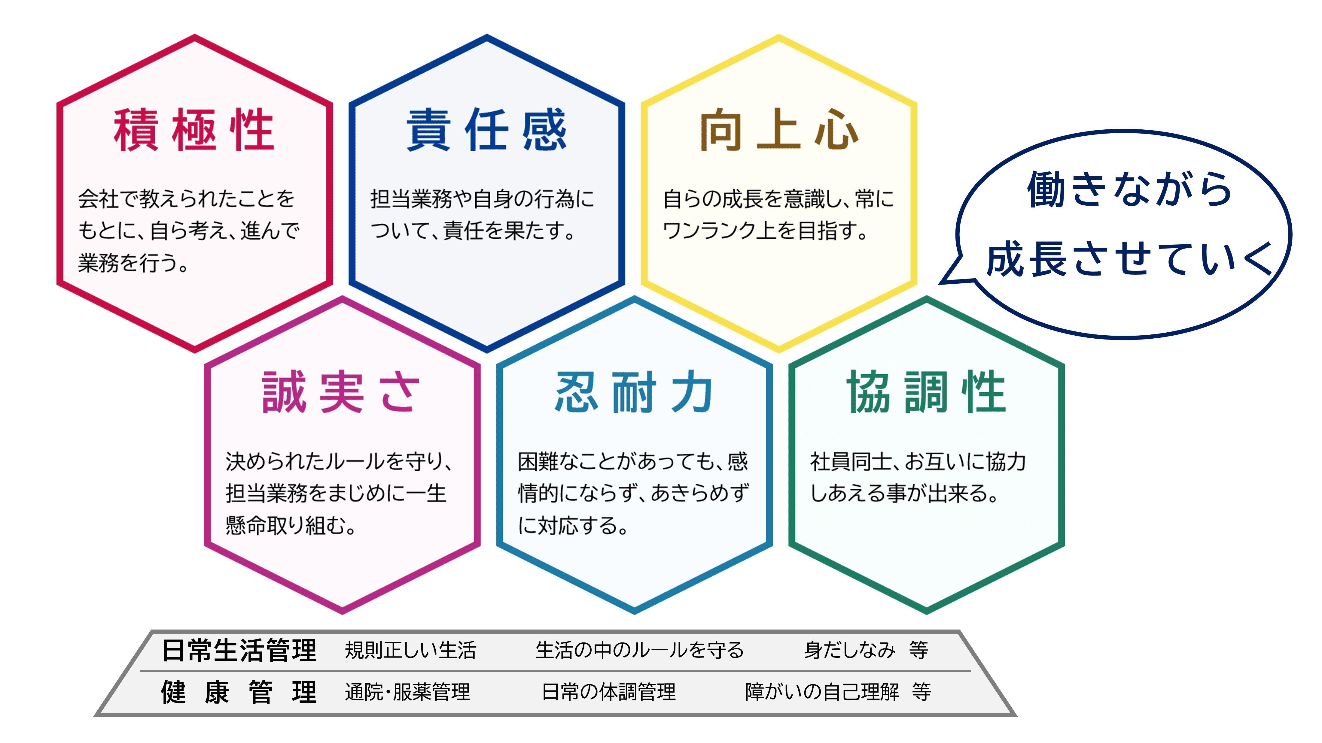 2つの管理を土台として6つの要素を求める人物像として挙げています。2つの土台には、規則正しい生活、生活の中のルールを守る、身だしなみ等の「日常生活管理」と、通院・服薬管理、日常の体調管理、障がいの自己理解等の「健康管理」があります。これらの上に積極性、責任感、向上心、誠実さ、忍耐力、協調性の6つがありそれらを働きながら成長させていきます。積極性は会社で教えられたことをもとに自ら考え進んで業務を行うこと。責任感は担当業務や自身の行為について責任を果たすこと。向上心は自らの成長を意識し、常にワンランク上を目指すこと。誠実さは決められたルールを守り、担当業務をまじめに一生懸命取り組むこと。忍耐力は困難なことがあっても感情的にならずあきれめずに対応すること。協調性は社員同士お互いに協力しあえることができること。